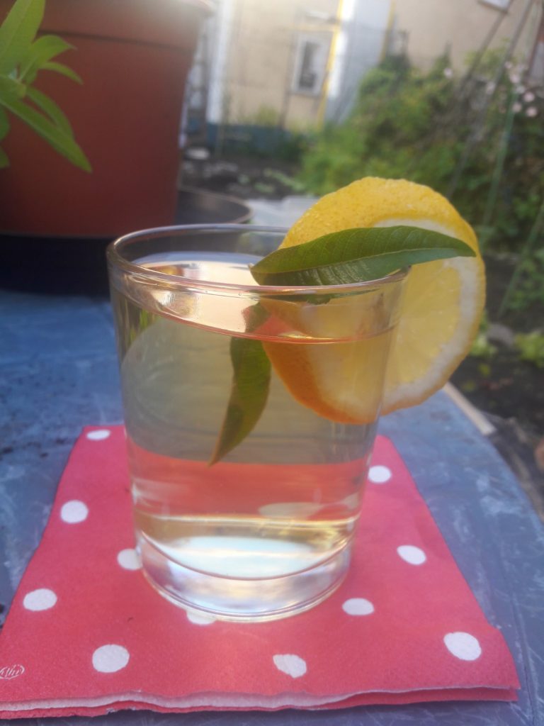 Zitronenverbene-Erfrischungsgetränk
